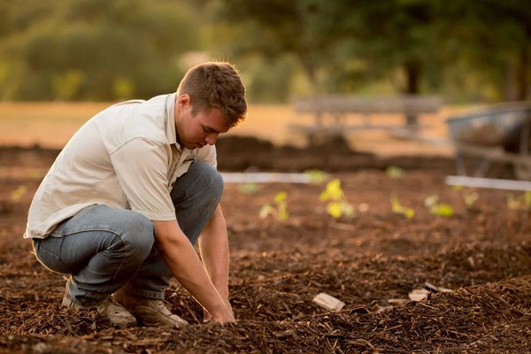 Comment créer un potager dans son jardin ?
